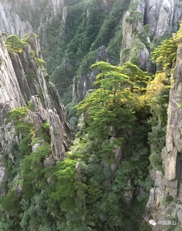 逃出公司办公室2